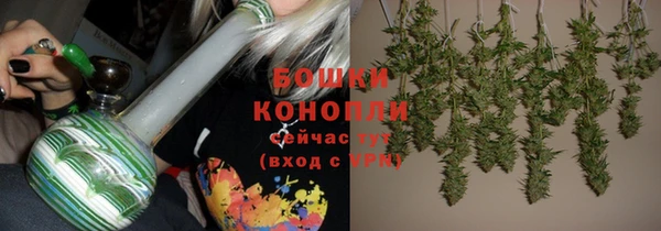 индика Белокуриха