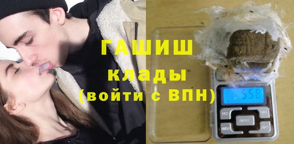 индика Белокуриха