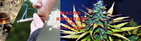 индика Белокуриха