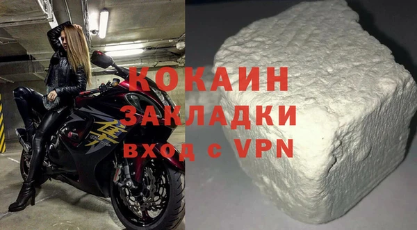 индика Белокуриха