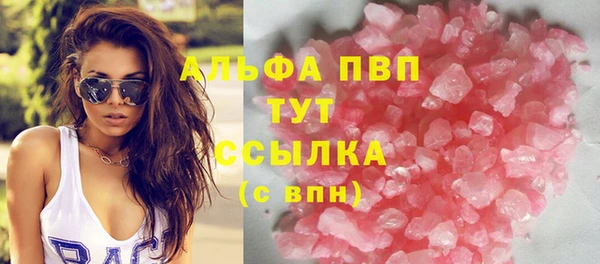 индика Белокуриха