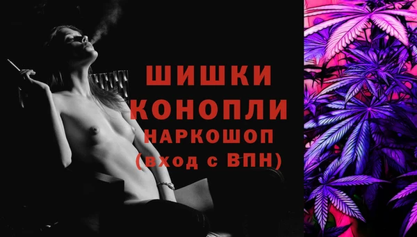 индика Белокуриха