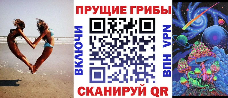 Псилоцибиновые грибы Psilocybe Наро-Фоминск