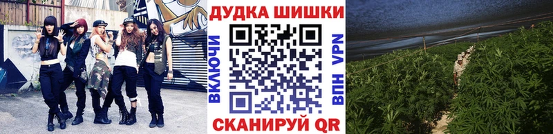 где можно купить   Наро-Фоминск  Шишки марихуана марихуана 
